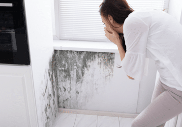 how to identify mold and mildew