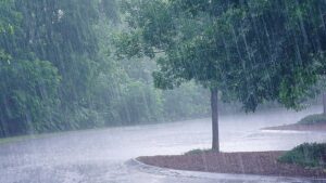 what are the top 7 things that cause water damage